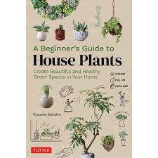 A Beginner's Guide To House Plants